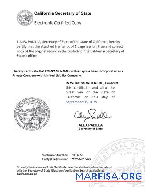 Downloadable USA California electronic registration certificate Word and PDF template